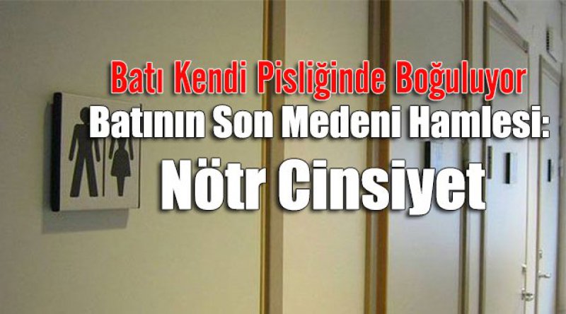  Batının Son Medeni Hamlesi: Nötr Cinsiyet