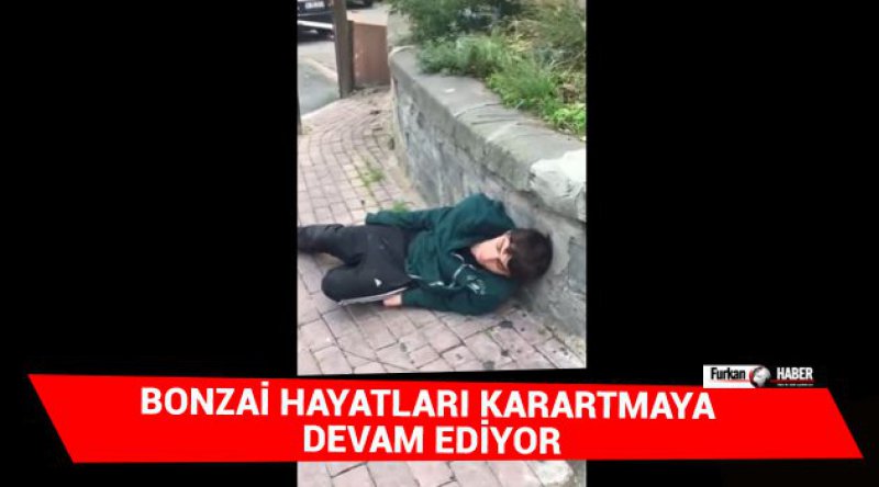 Bonzai Hayatları Karartmaya Devam Ediyor